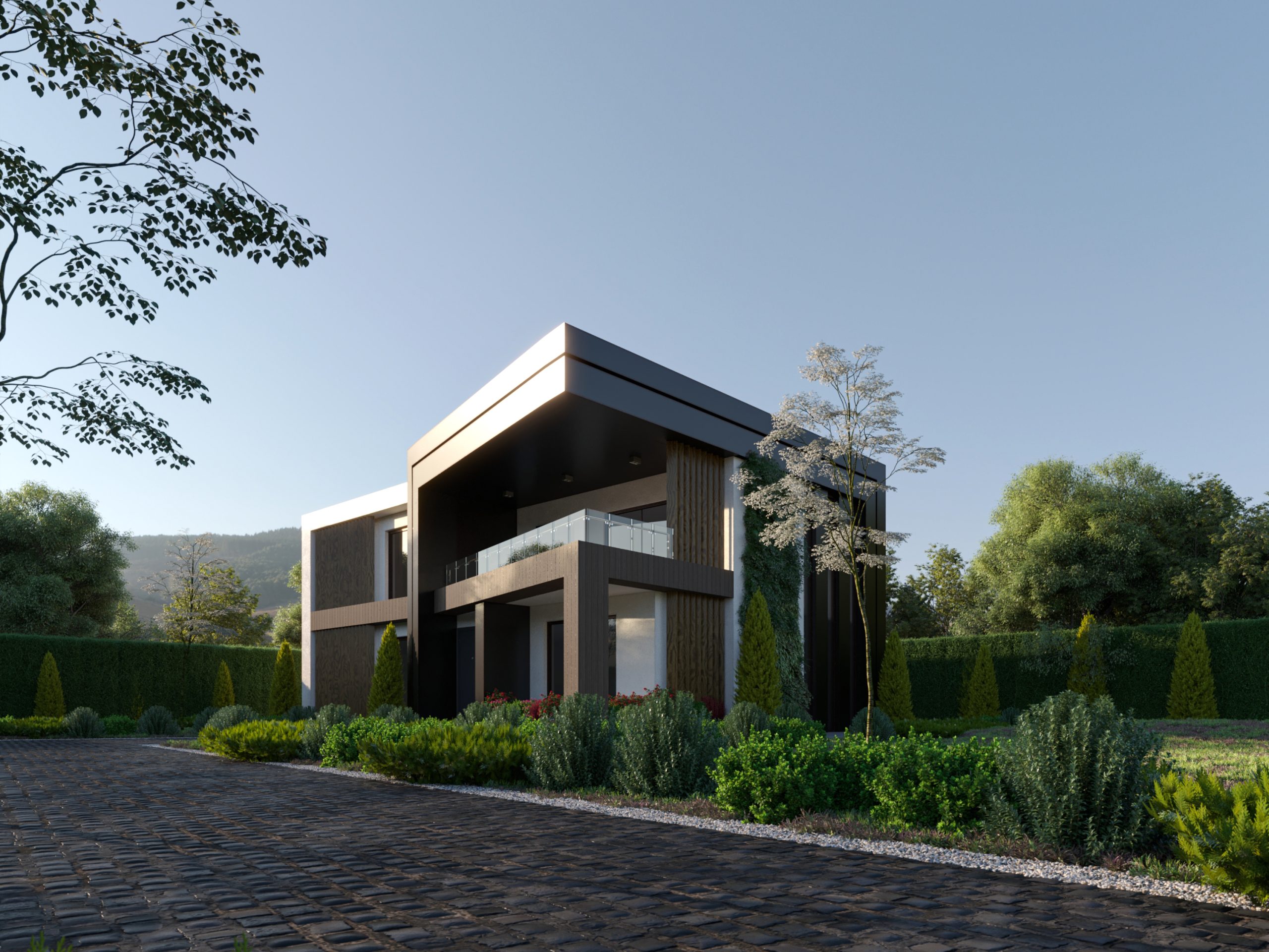 MODERN EXTERIOR home - swimming pool - render - hrarchz - black and white -wood